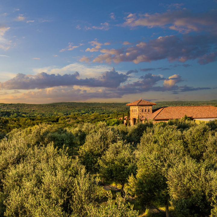 The Olive Ranch in Dripping Springs, Texas, United States