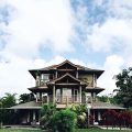 The Palmwood