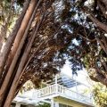 The Pepper Tree Retreat
