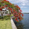 The Resort & Club at Little Harbor