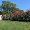 The Shearwater Inn