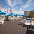 The Spinnaker