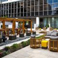 The Whitehall Houston