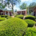 Three Bears Bed & Breakfast
