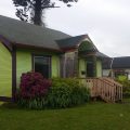 ToadLily House
