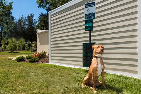TownePlace Suites by Marriott Latham Albany Airport in Latham, New York, United States
