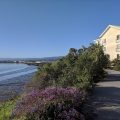 TownePlace Suites by Marriott Redwood City Redwood Shores