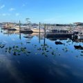 Tropical Resort and Marina