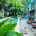 Urban Oasis Bed and Breakfast