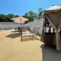 Viking Shores Motor Inn
