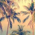Villa Emerald Coast Cape Coral
