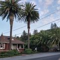 Villa Inn