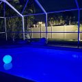 Villa Palm Tree