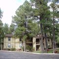 Village Lodge