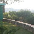 Vultures View