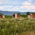 Wildflower Inn