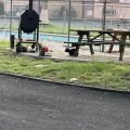 Wildflower Inn & RV Park