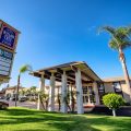 Willow Tree Inn