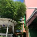 Windsor Resort