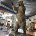 Y O Ranch Hotel & Conference Center