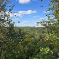 A Muskoka Dream Catcher Bed & Breakfast