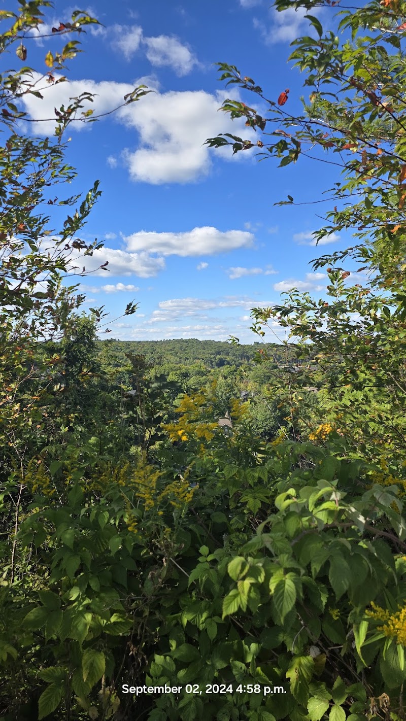 A Muskoka Dream Catcher Bed & Breakfast in Huntsville, Canada