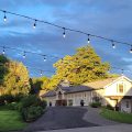 Abeja Inn