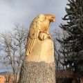 Adobe and Pines