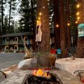 Alder Inn