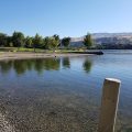 Alderwood RV Express