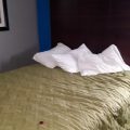 All American Inn Tupelo