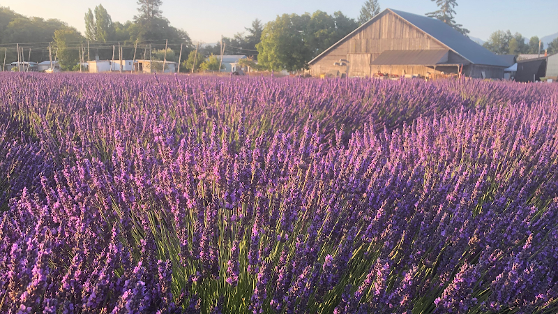 Ambiance Bed & Breakfast in Sequim, Washington, United States