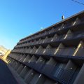 American Motel