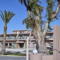 Ammos Resort