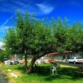 Apple Tree Inn
