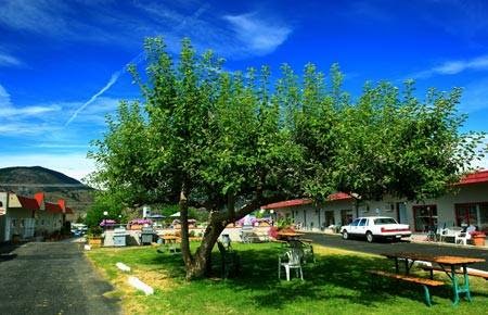 Apple Tree Inn in Penticton, Canada