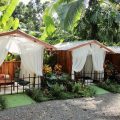 Ara Ambigua Lodge