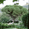 Auberge des Adrets