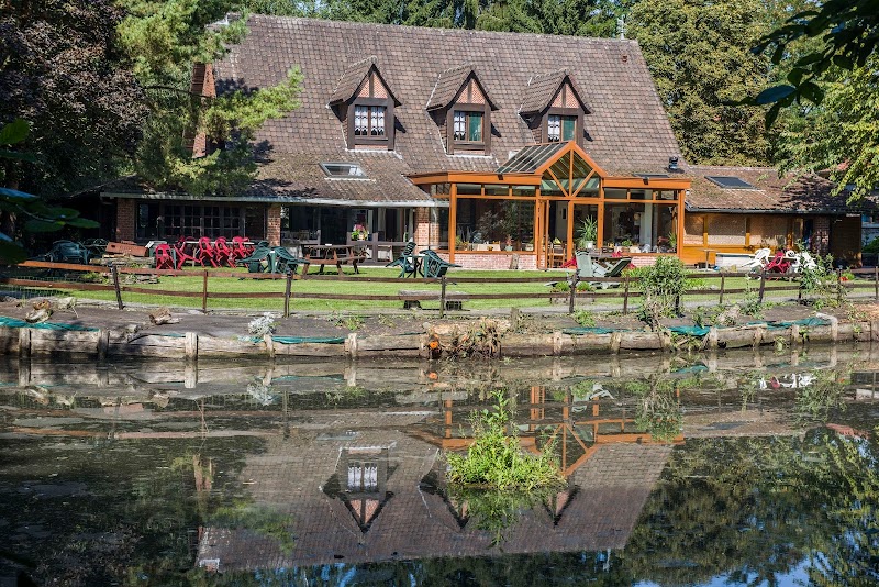 Auberge du Bord des Eaux in Saint-Amand-les-Eaux, France