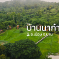 Baan Na Kang Tong