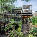 Bangkok Tree House