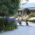 Battunga Bed & Breakfast