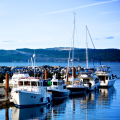 Beach Gardens Resort and Marina