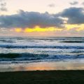 Beachcombers Haven