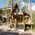 Bear Creek Motel & Cabins