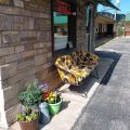 Bell’s Motor Lodge Motel