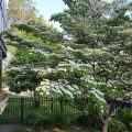 Bishop-Brighton Bed and Breakfast