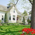 Black Walnut Guest House