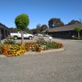 Blazing Stump Motel & Suites