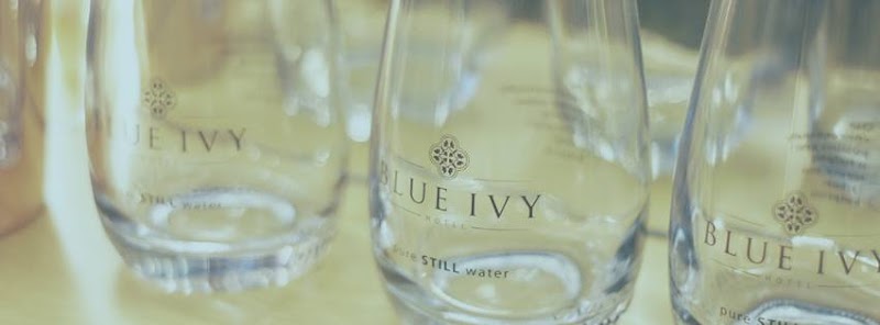 Blue Ivy Hotel in Colchester, United Kingdom